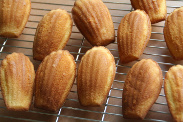 Madeleines